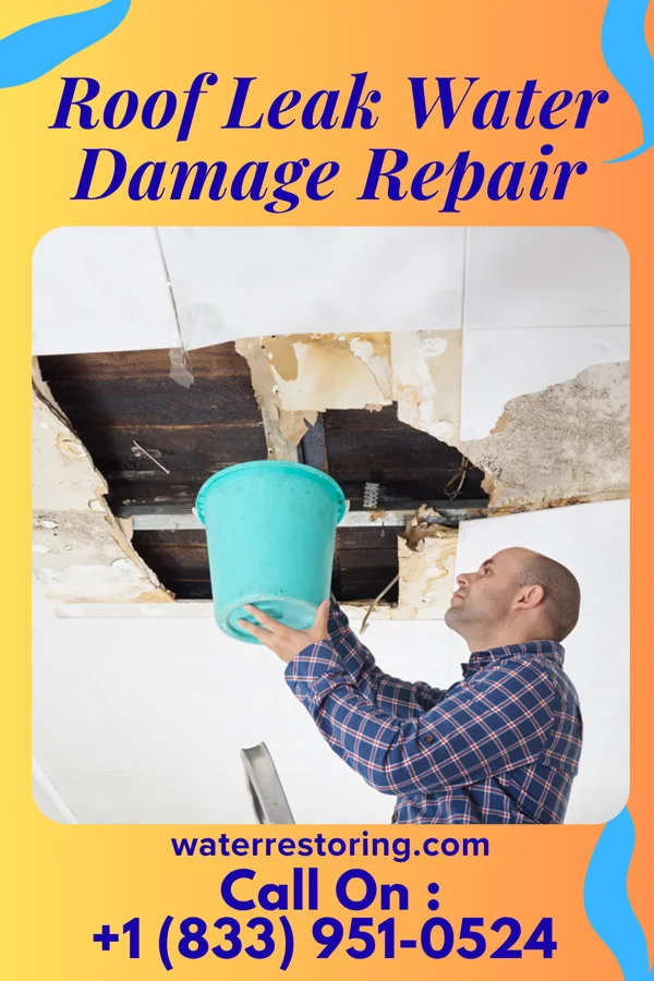 Roof Leak Water Damage Repair in Ali Chukson, AZ